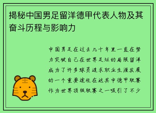揭秘中国男足留洋德甲代表人物及其奋斗历程与影响力